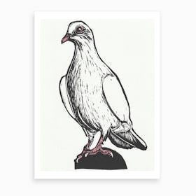 White Dove Art Print