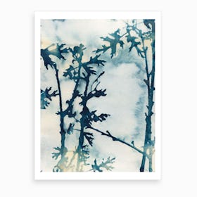 Blue Oak Leaves Art Print