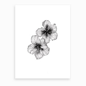 Hibiscus Blooms In Ink Art Print