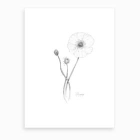 Poppy Art Print