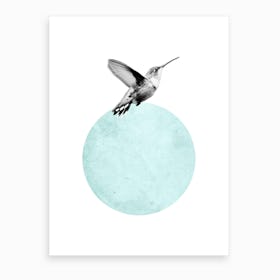 Fly High Art Print
