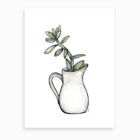 Succulent In A Jug  Art Print