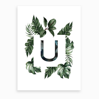 Botanical Alphabet U Art Print