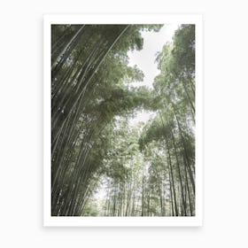 Bamboo Forest I Art Print