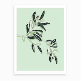 Soft Coloured Olives Art Print