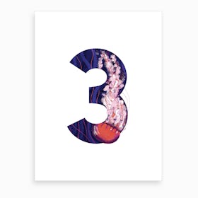 3  Jellyfish  Art Print