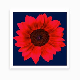 Red Sunflower Square Art Print