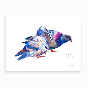 Pigeons 2 Art Print