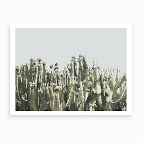 Cacti Art Print