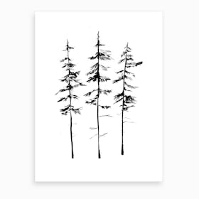 Pine Trees Art Print