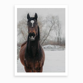 Horse And Snow 2 Art Print