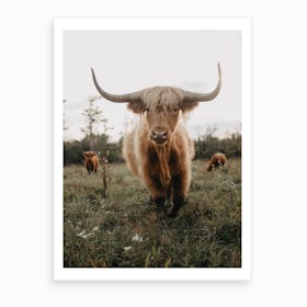 Highland Cow On The Farm Art Print
