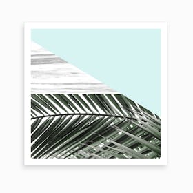 Palm Mint Art Print