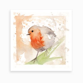 Robin Bird 3 Art Print