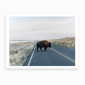 Bison Crossing Art Print