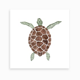 Sea Turtle2 Art Print