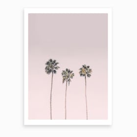 Blushing Palms Art Print