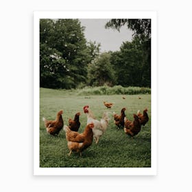Chickens On The Farm Art Print