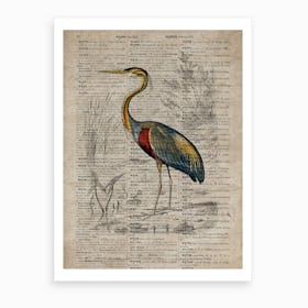 Heron Dictionnaire Universel Dhistoire Naturelle  Art Print