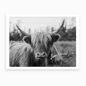Highland Cow Black And White Animal Art Print