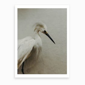 Egret To See You Art Print