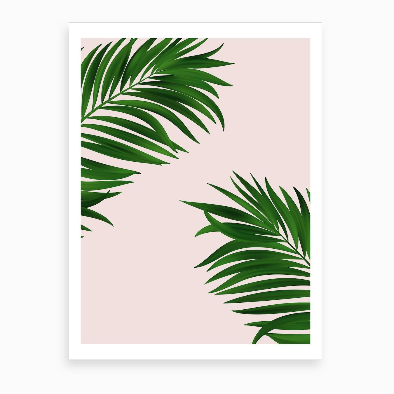 Palm Leaves Art Print By Ruby And B Fy Palm Leaves Art Print By Ruby And B Fy