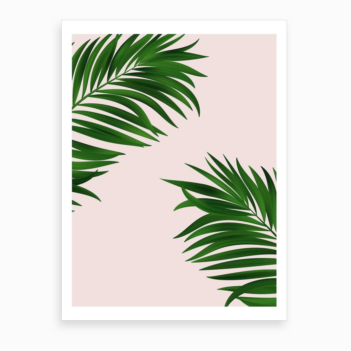 Palm Leaves Art Print By Ruby And B Fy