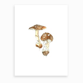 Toadstool Miniature Art Print