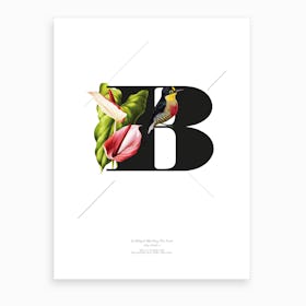 Botanical Alphabet B Art Print