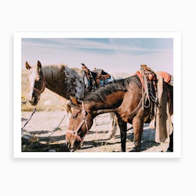 Horses And Desert Art Print