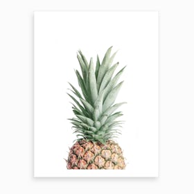 Pineapple Art Print