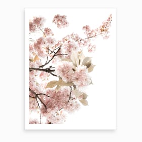 Spring Blossom II Art Print