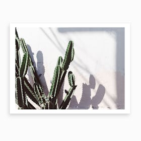 Californian Cactus Art Print