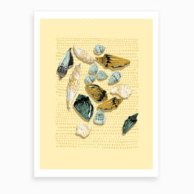 Shells In Yellow Tones Art Print