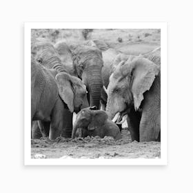 Elephants Come Together Art Print