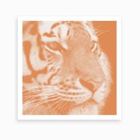 Tiger Pastel Salmon Square Art Print