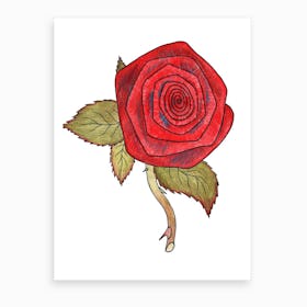 Rose 1 Art Print