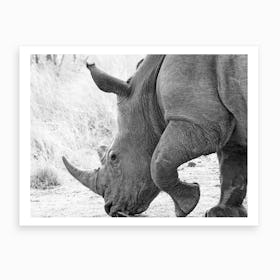 Rhino In Africa Art Print