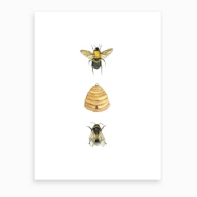 Bumblebee Family Art Print