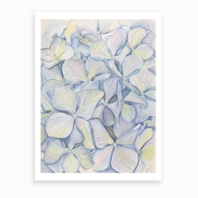 Hydrangea in Blue Art Print