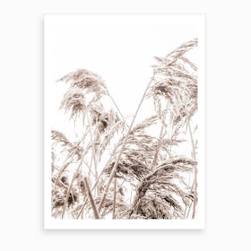 Autumn Reeds III Art Print