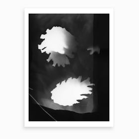 Black And White Pine Cones Photogram Art Print