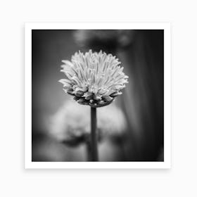 All Alone With My Thoughts Black And White Art Print
