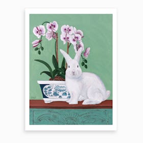 Rabbit And Orchid Art Print