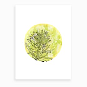 Euphorbia On Green And Yellow Art Print