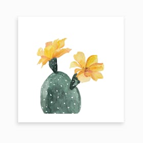 Botanical Illustration   Yellow Cactus Flower Art Print