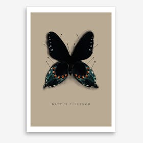 Butterfly No10 Art Print