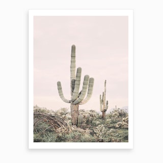 Blush Skies Cactus Art Print