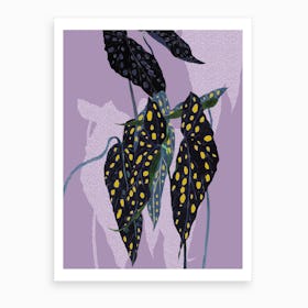 Begonia Maculata On Lilac Art Print