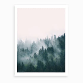 Fog And Forest Art Print